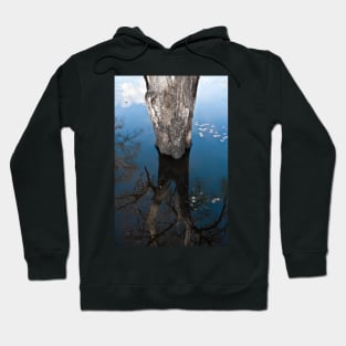 Sometimes you see more of it in your reflection. Hoodie